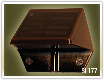 Solar Deck & Wall Light